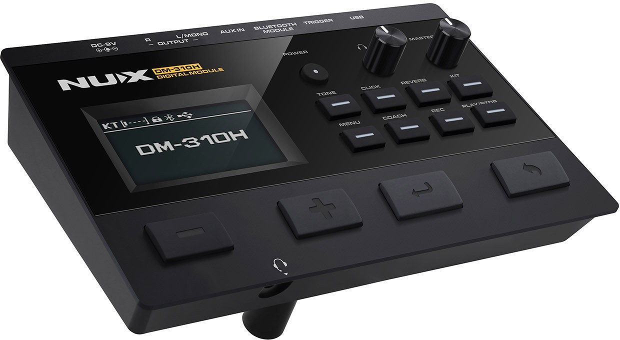 NuX DM-310H