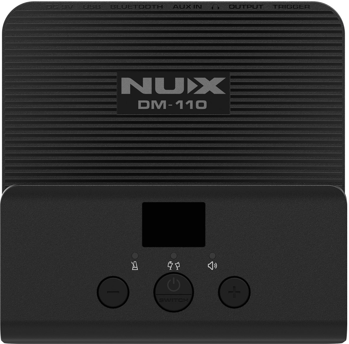 NuX DM-110